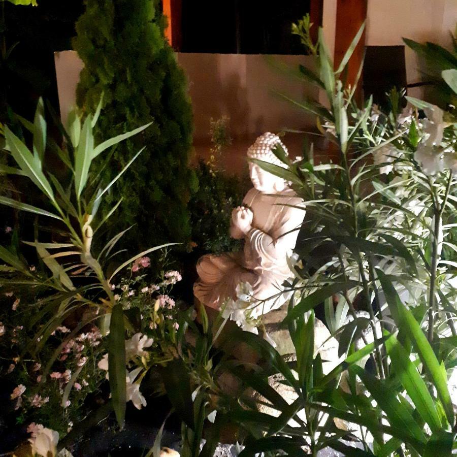 Andrea Villa كيستاي المظهر الخارجي الصورة